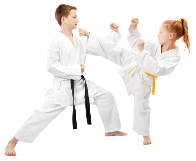 Intelegerea elementelor fundamentale ale karatelor