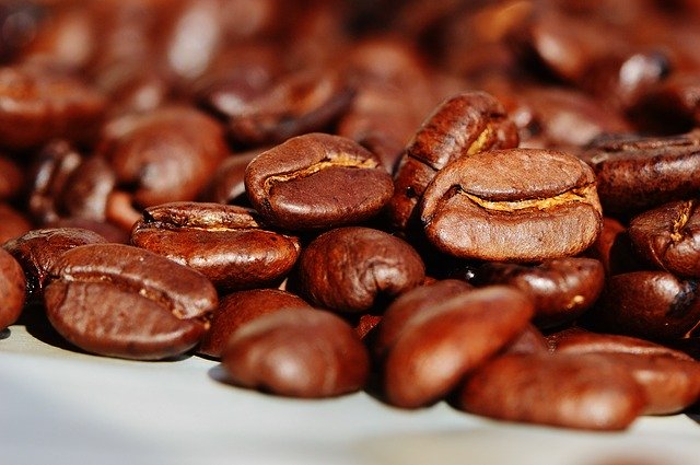 World Coffee Research lanseaza ghiduri gratuite pentru productia de seminte si rasaduri de cafea