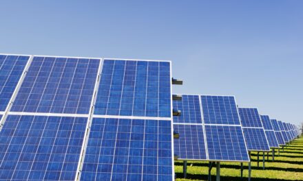 Care Sunt Cele Mai Comune Probleme Intalnite La Panourile Solare Si Rezolvarea Acestora?