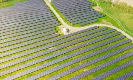 Ce Avantaje Aduce Un Kit Panouri Fotovoltaice In Agricultura?